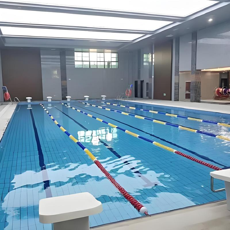 标准游泳池.jpg